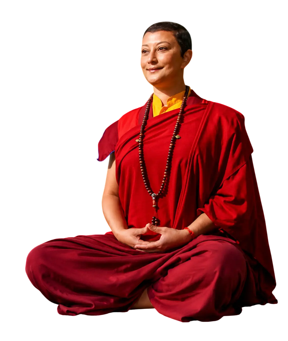 Lama Aria Drolma